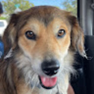 Meet your Posher, Nigel